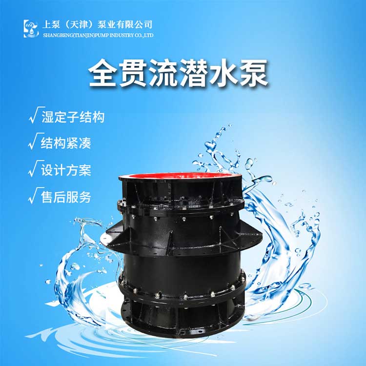球墨鑄鐵600QGWZ-100全貫流潛水泵廠家電話