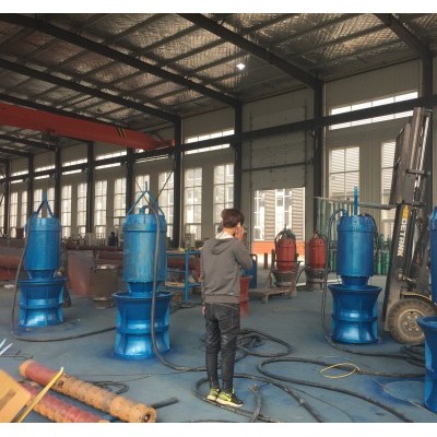 江阴市市防涝排洪900QZB潜水轴流泵生产厂家