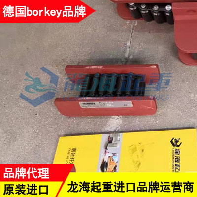 高压加热器托运工具,borkey履带式滚轮小车CE认证