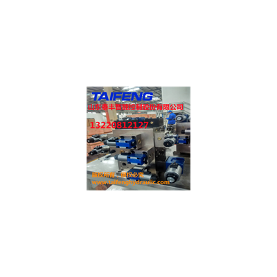  Shandong Taifeng FJC YW306BCV two-way cartridge valve