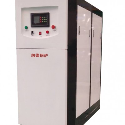  Maintenance and application of condensing low nitrogen gas boiler